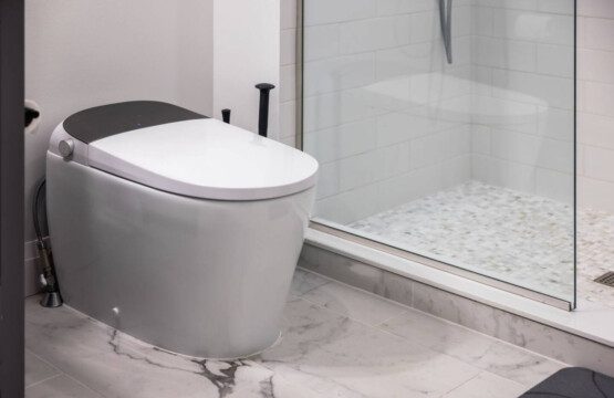 165528 420303 8GRS2KgK3476QBGmo2NaDXuDSstBImya8vp p3bCZlw 6892340f68efd.jpg